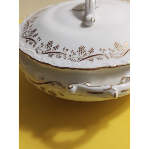 Vintage Coalport England Vegetable/Soup Tureen  "Burgundy" Pattern 10 1/2" - Picture 13 of 15